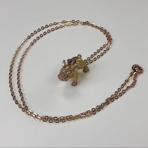 unbranded Jewelry - 𝅺french Bulldog necklace NEW